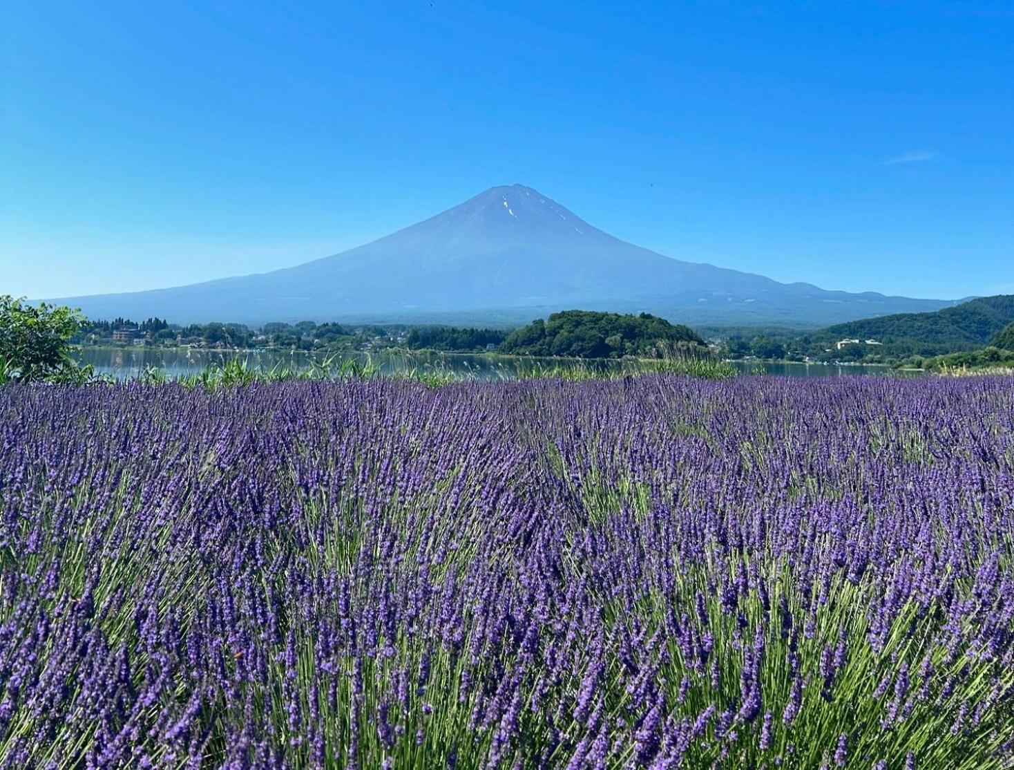 Holiday Home Furinkazan 風林火山 Fujikawaguchiko Exterior foto